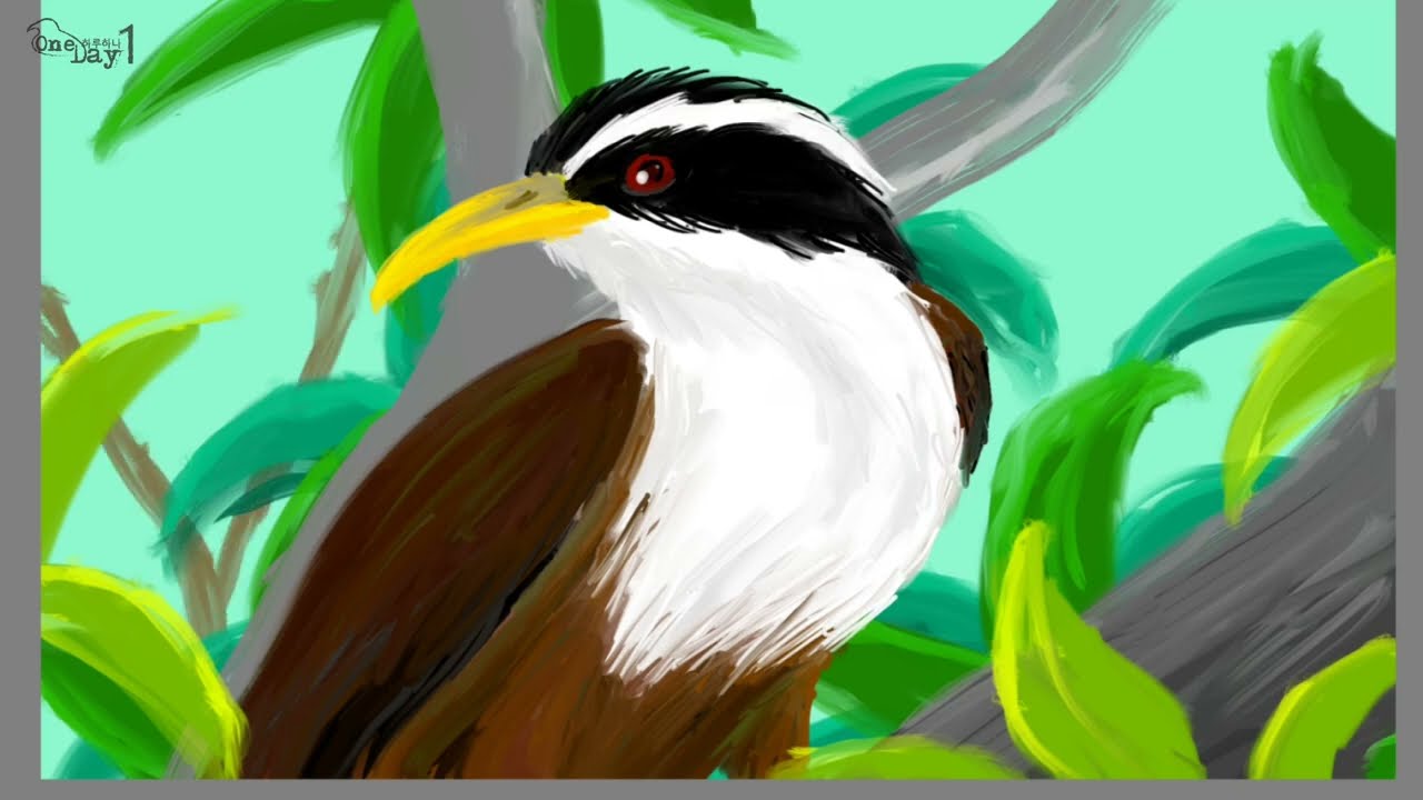 Indian Scimitar Babbler 인도낫부리꼬리치레 그리기