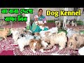 Lhasa Apso & Shih Tzu Puppies Sale. Dog Kennel in Sonarpur. Dog Market in Kolkata Price.
