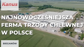 Najnowocześniejsza Ferma Trzody Chlewnej W Polsce - Bieganów - Ferma Na 7000 Loch - Kanus