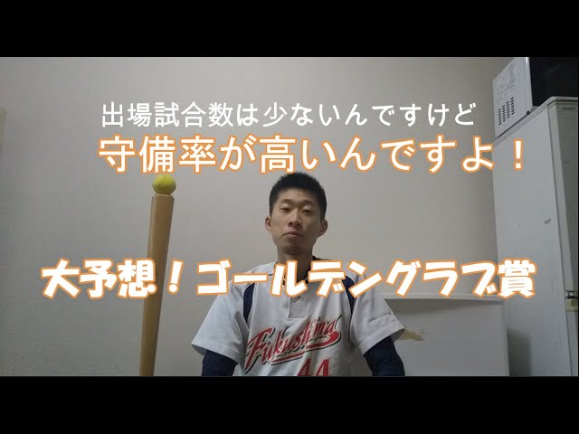 大予想 ゴールデングラブ賞 セ リーグ編 ゆったり日記