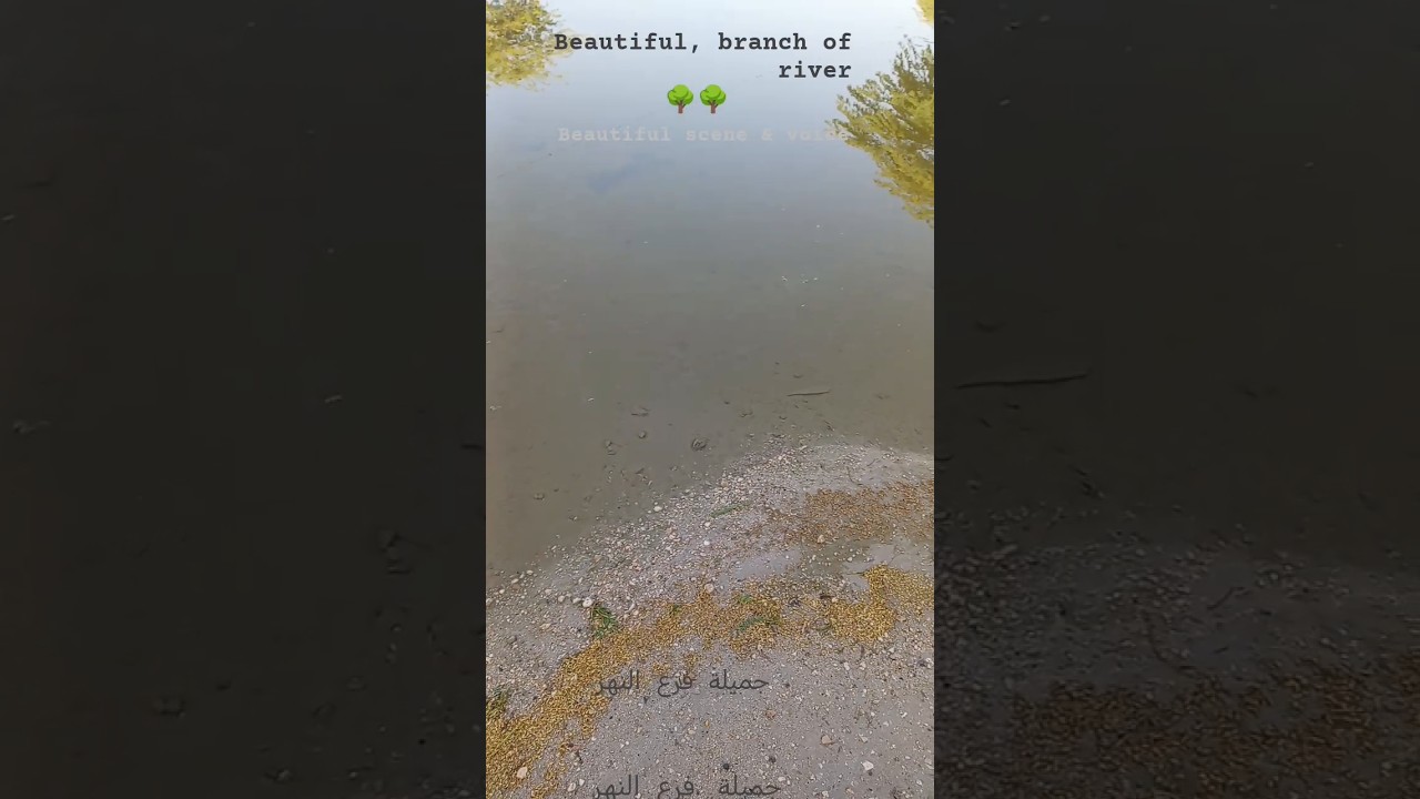 Beautiful scene heavy rainfall During national holiday Doha