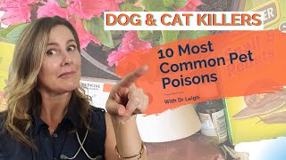 10 Most Common Pet Poisons To Keep Your Dog & Cat Away From