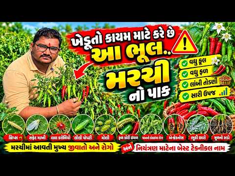 મરચી. માં. કુકડ. ફાલ. વાઇરસ. ફુલ માહિતી ફીલ ઉપર થી. #chili #મરચી #agriculture #viral #viralvideo 