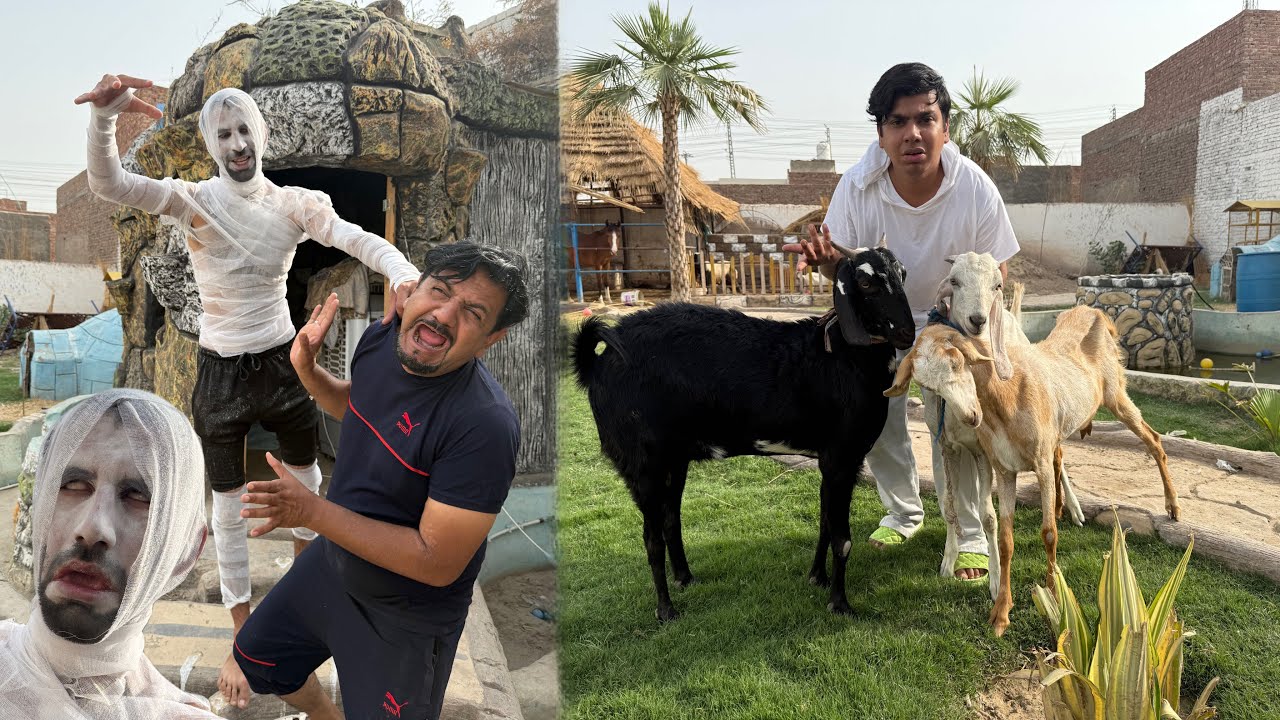 Zoo Me Ata Sath Lash Picha Lag Gai 😰 Pata Nhi Kis Ki Bakria Hein Ya 😧