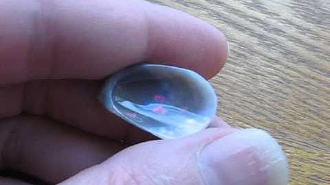 Australian opal clam shell