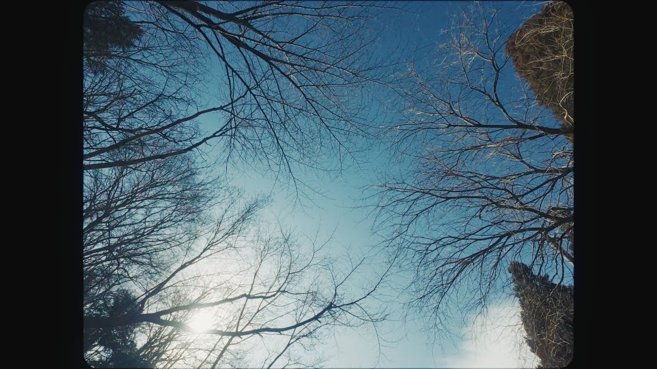 天を擽る、春の前触れ。-A harbinger of spring that tickles the heavens.-[DJI-osmo ...