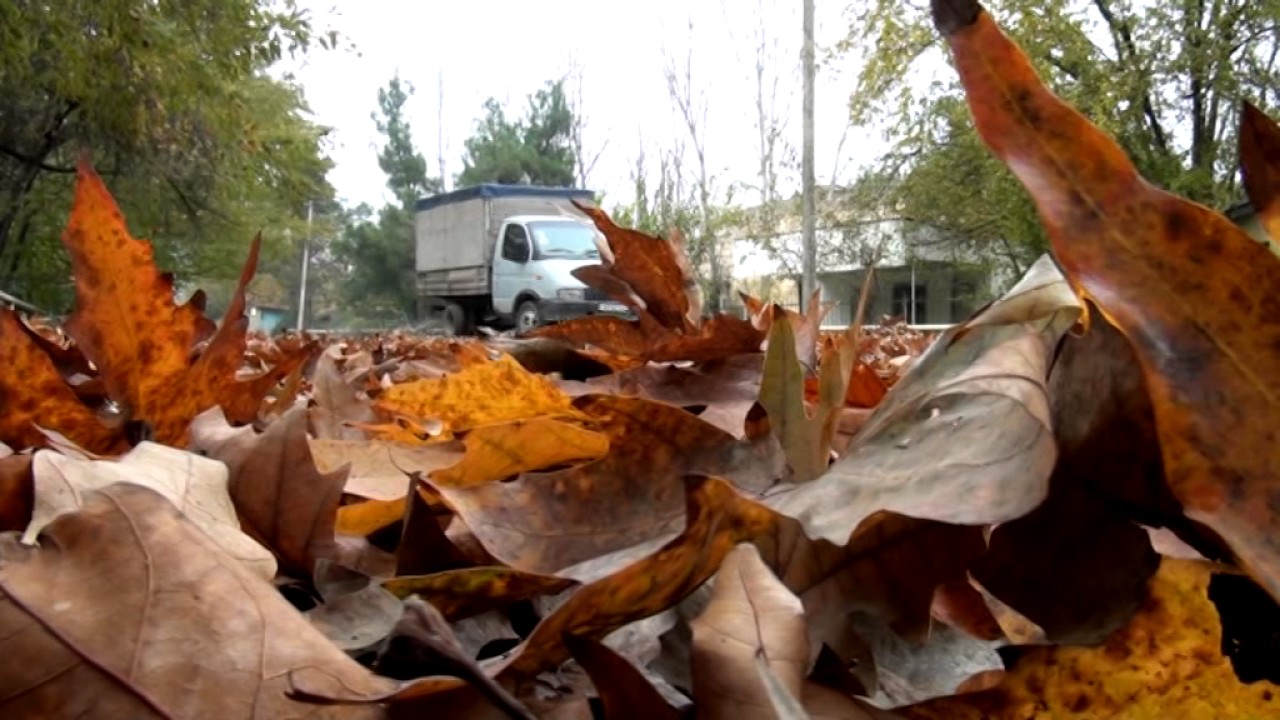 Qəribə kənd adları - Ağsu rayonu Bico kəndi