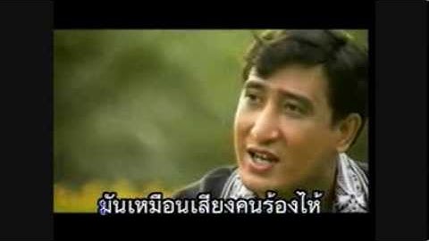 เพลง ไก่จ๋า ( สายัณห์ สัญญา )