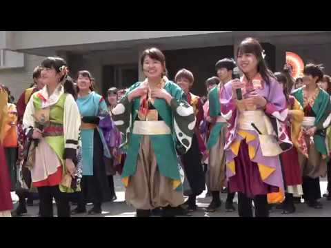 早稲田大学2017年4月2日“10号館前新入生歓迎ライブ“東京花火”　ＮＯ.6