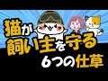 猫が飼い主や子供を守る・助けている仕草と理由を詳しく解説