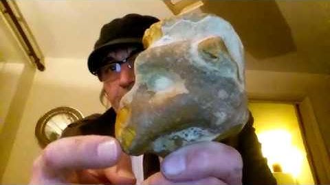 New Mud Fossils Lucky Dip Including A Mud Fossil Monkey!!!