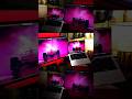 #gamingsetup #desksetup #gamingroom #deskgoals #coding #phonk
