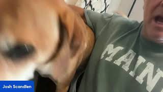 America's Foreign Trade Mess: A Modern History