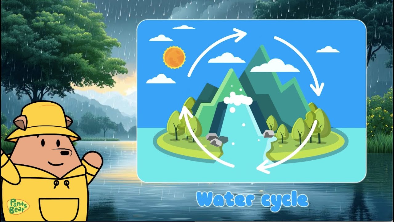 Where Does Rain Come From? | The Water Cycle Explained | Science for Kids | 