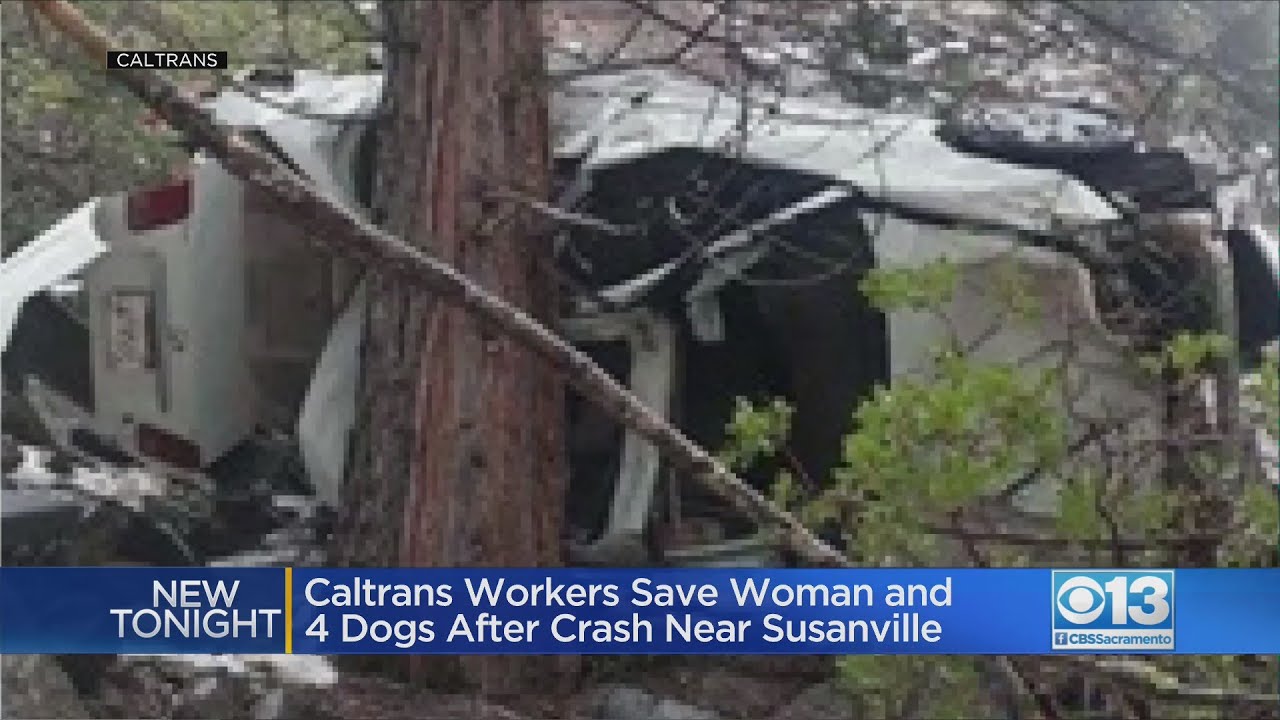 Caltrans workers save woman and 4 dogs after crash near Susanville