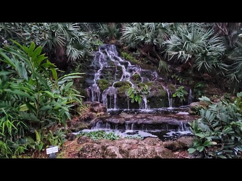 Ormond Memorial Art Museum and Gardens.