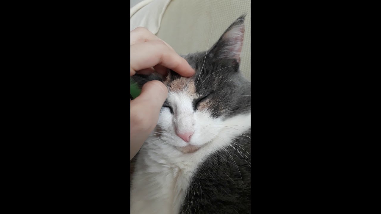 Cozy moment with Maja