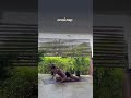 Экспресс-комплекс для стройного и изящного тела #fitness #спорт #sports #healthy #workout #fit
