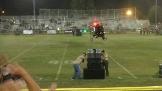 28th Annual Orange County Police Canine Demonstration