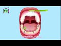 Cmr kids tv episode 13 brossestoi les dents et bye bye les caries