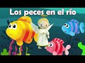 Los Peces En El Río 🐠🐟- Villancico 🎅🏻🎄🌟⛄ - Chivaditos