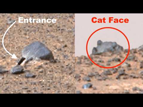 Mars Doorways Found And Cat Head Statue On Hill, UFO UAP Sighting News.