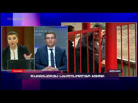 მამუკა მდინარაძე ქართული ოცნების წინასაარჩევნო დაპირებებზე