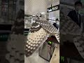 【かっこいい】フクロウ連れで改札→周りの視線が強い🦉🚉😳 #owl #station #funny #japan #cute @chiero_piero