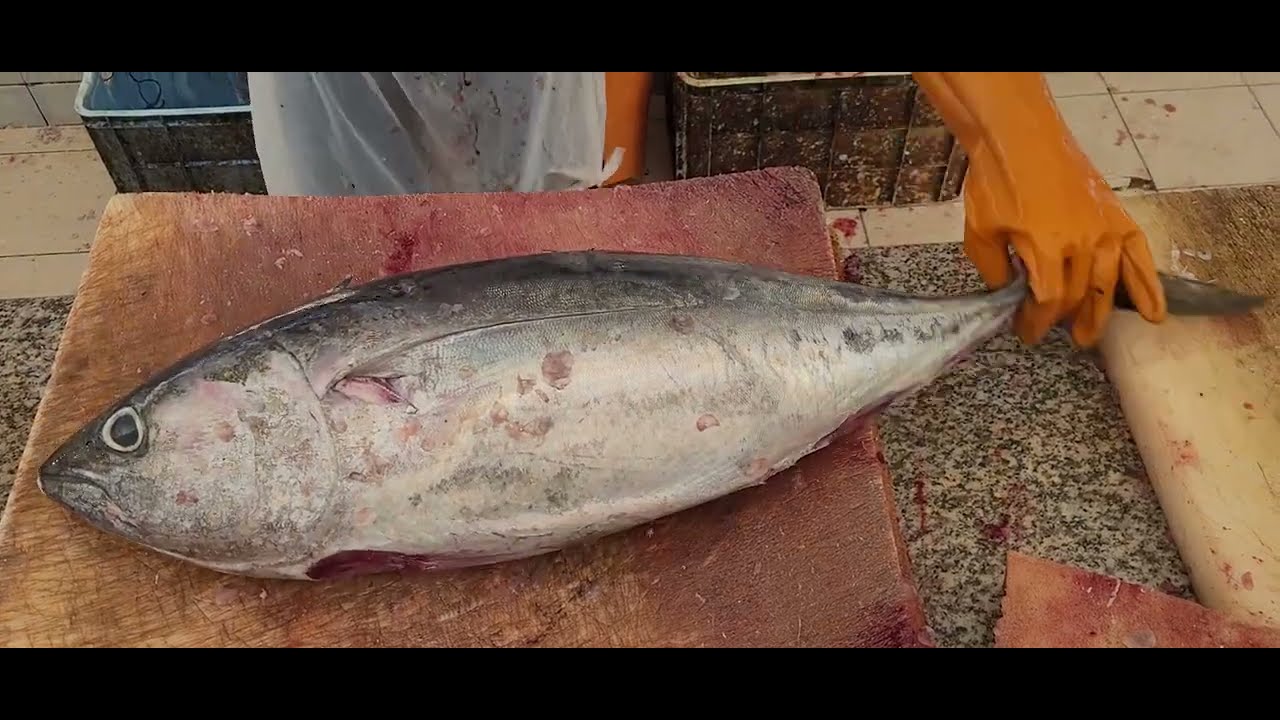 Large Bluefin Tuna 20 LBS/150 Fish Fillet by Small Knife।Difficult to