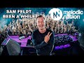 Sam Feldt Been A While Live Big Igmar mp3