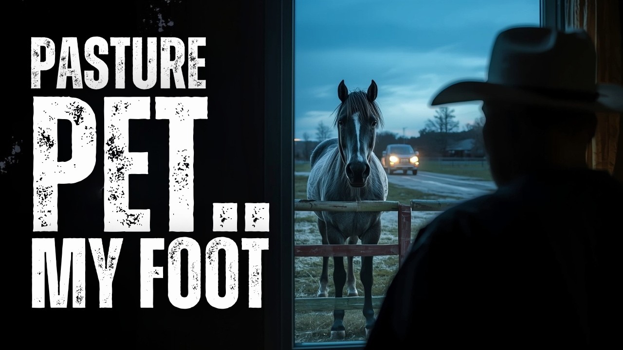 He Bought a “Pasture Pet” for His Granddaughter... Then the Horse Stood Guard at Her Door