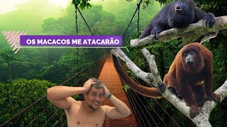 ATAQUE DOS MACACOS, PASSEIO MARANHÃO, RIO PREGUIÇA, VILAREJO MANDACARU, VASSOURAS E PRAIA DE CABURÉ