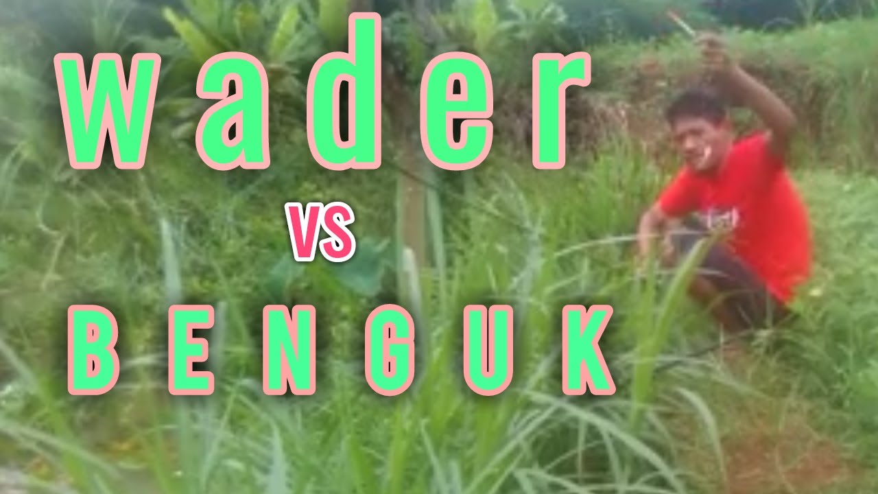 sungai kecil tp ikannya kecil2 juga, ikan bogo&wader, 