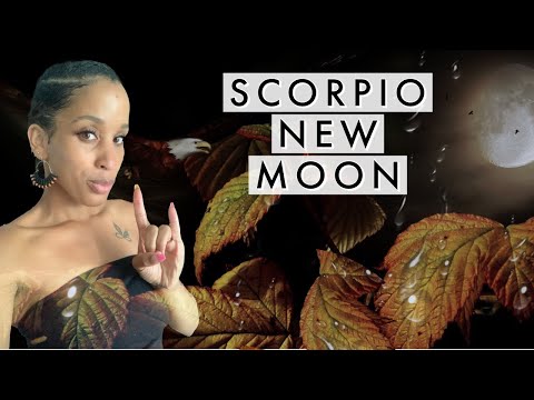 Video: Làm Thế Nào để Có được Một Scorpio