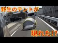未知との遭遇 日本の交通事故・あおり運転・危険運転㉑ Traffic conditions in Japan