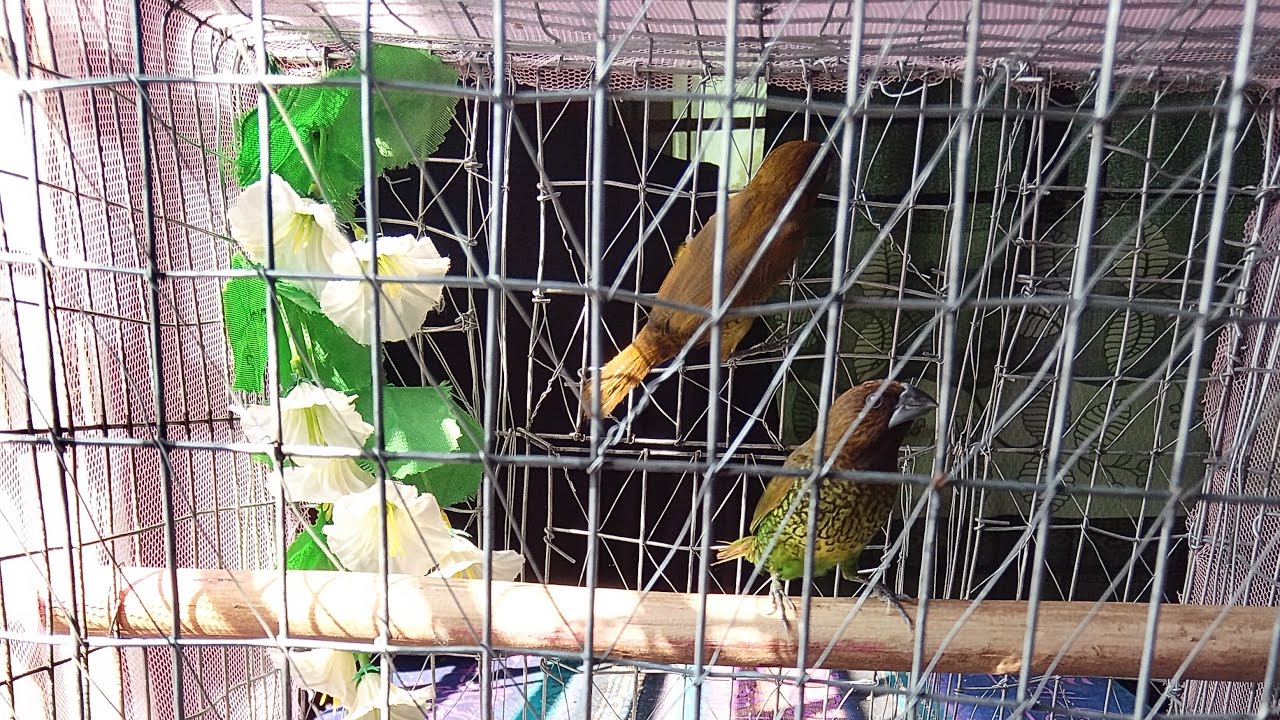 Omor Faruk official  is live!