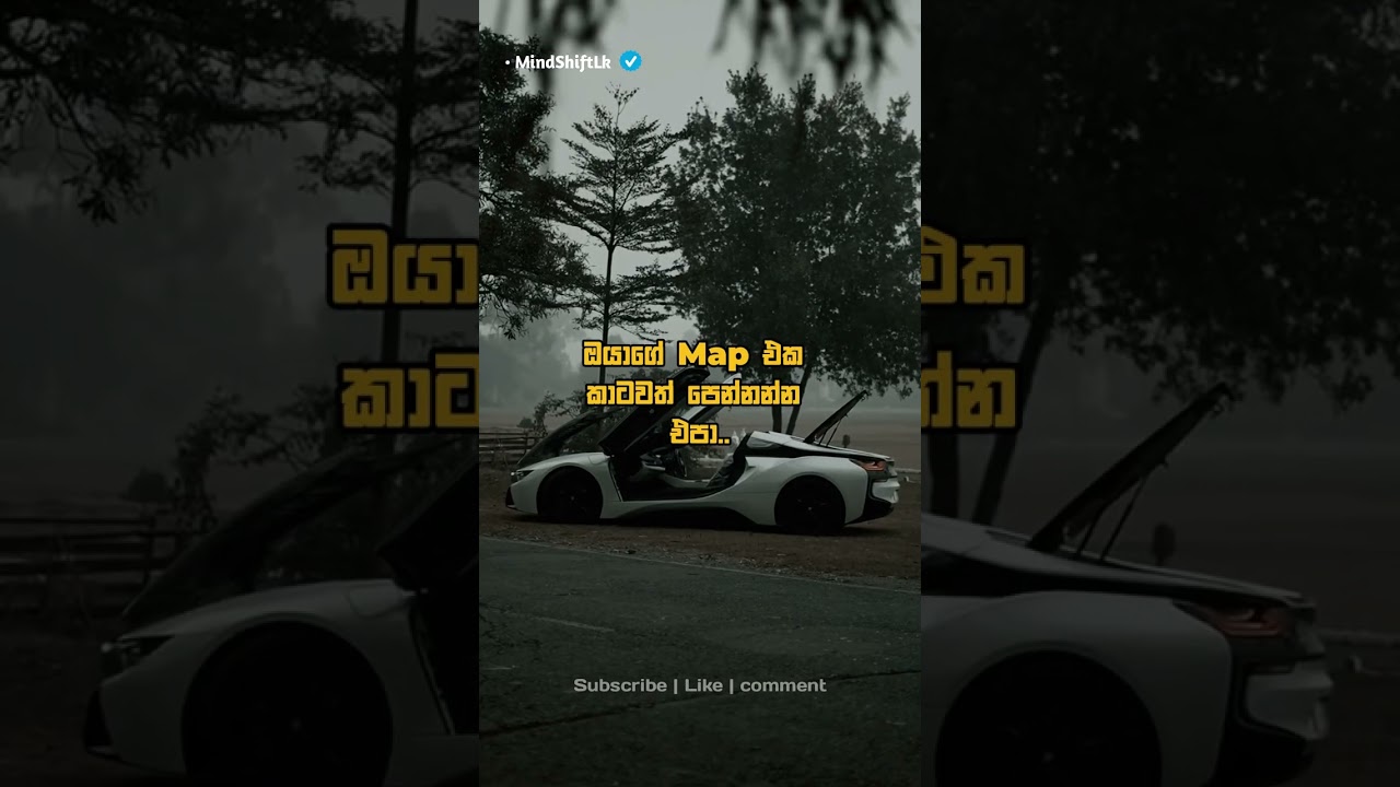 සිග්මා නීති  💪 