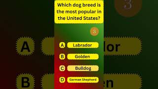 🐶 Most Americans Get This Wrong: The #1 Dog Breed in the United States #quiz #quiztime #gk #viral