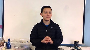 Adam - The Synapse Project Science Fair