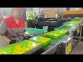 A4 Size Copy Paper Cutting Machine | A4 Sheeting Machine--CHM Machinery