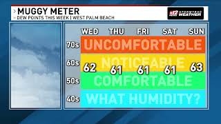 April 23, 2025 Forecast: Dry and warm day ahead