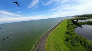 Vogeltrek IJselmeer - FPV Drone Adventures