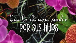 Flor y Miel, siempre en enventos importantes