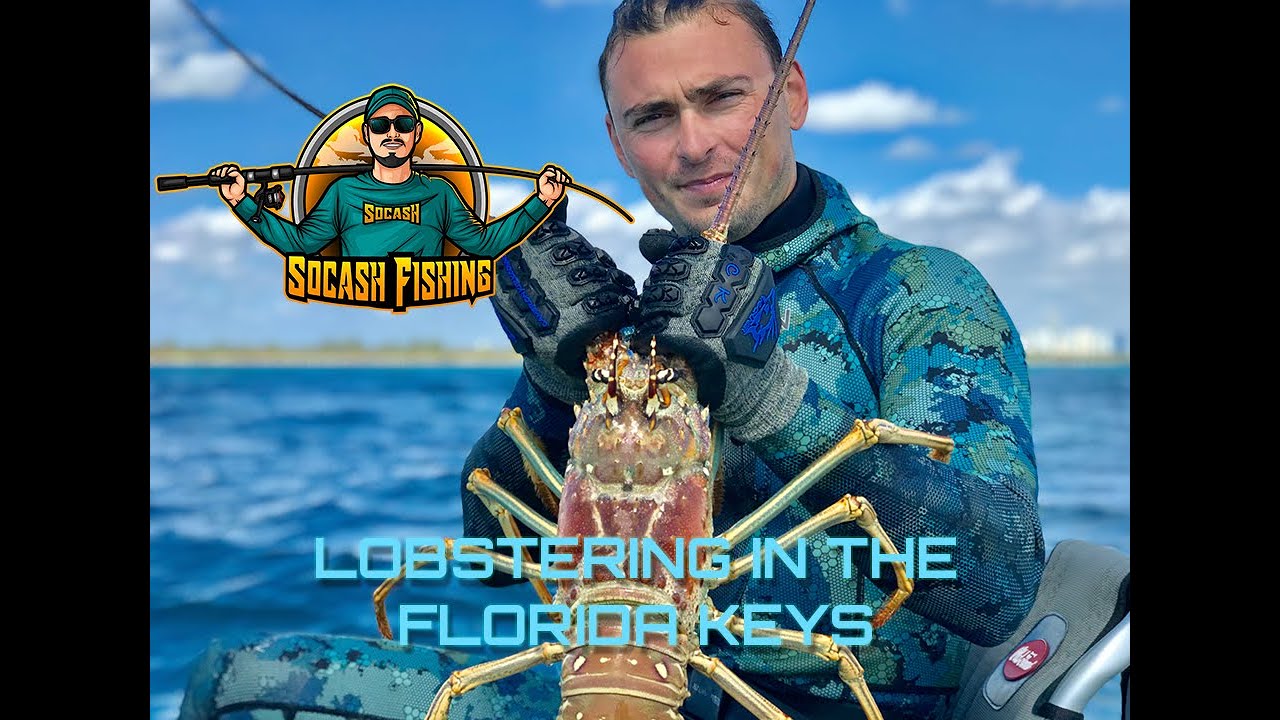 LOBSTERING IN THE FLORIDA KEYS (SPINY FLORIDA LOBSTER) Socash Fishing