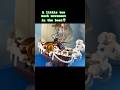 💀Animation gone wrong #lego #stopmotion #fail #onepiece #animationfails #funny
