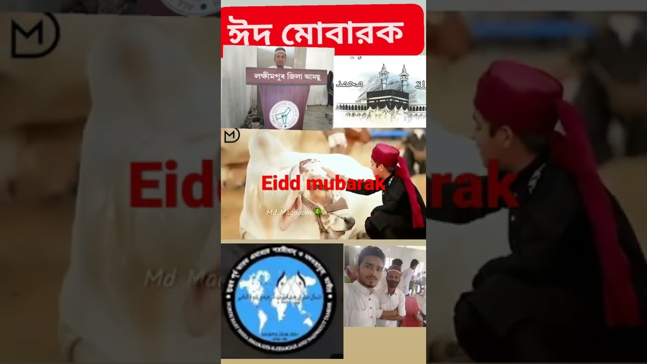 eidd mubarak eidul adha best gojol and video