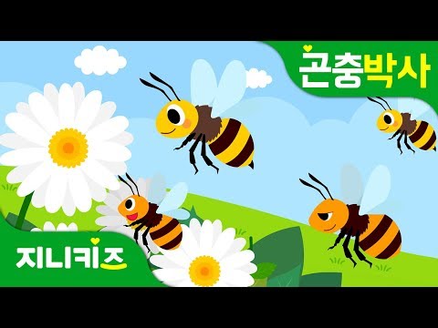 꿀벌 이야기 꿀벌의 습성과 특징 곤충박사 지니키즈 