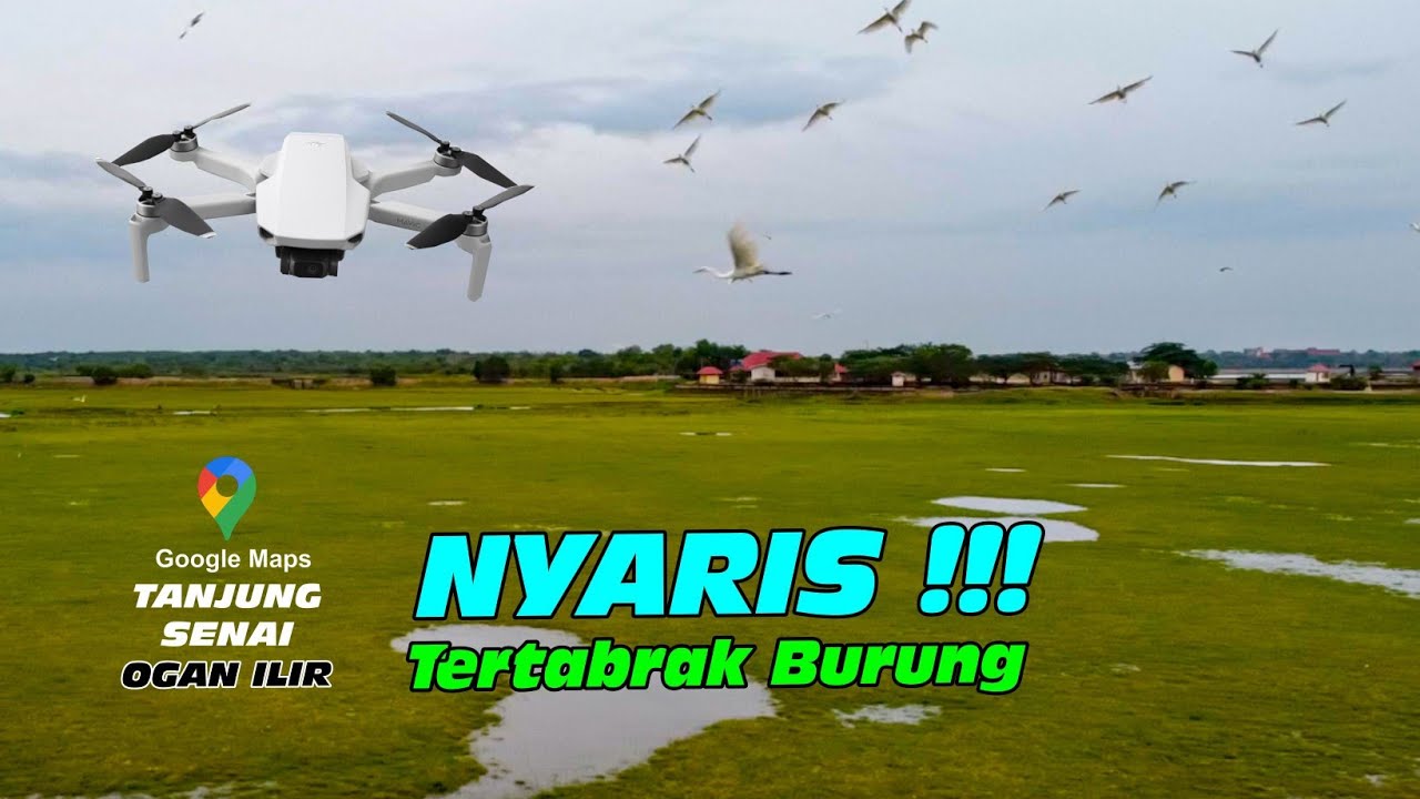 Hamparan Padang Tanjung Senai Ogan Ilir ( Drone Dji Mavic Mini )