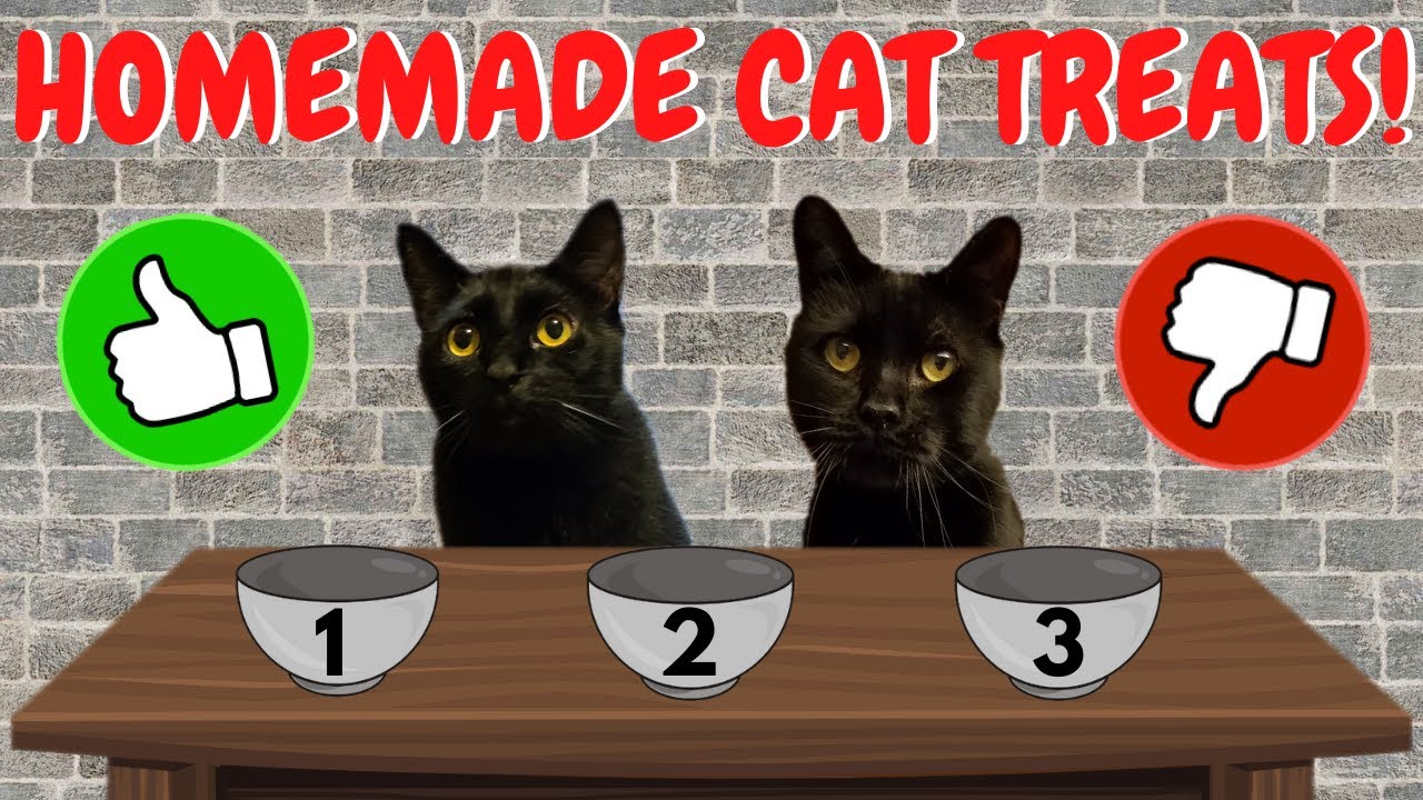 Trying homemade CAT FOOD RECIPES!!! *Rated by cats