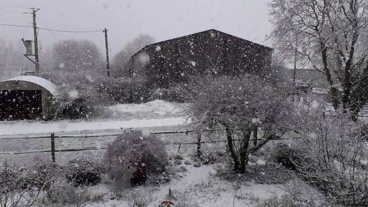 A snowy  morning  looking  out of  my  landing  window... mid January  2021